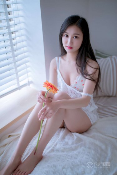不谈爱情